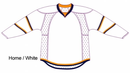Dallas Stars