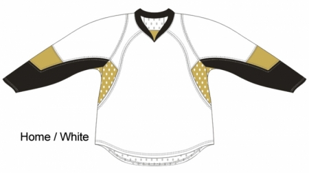 Pittsburgh Penguins