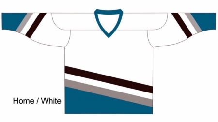 Anaheim Ducks